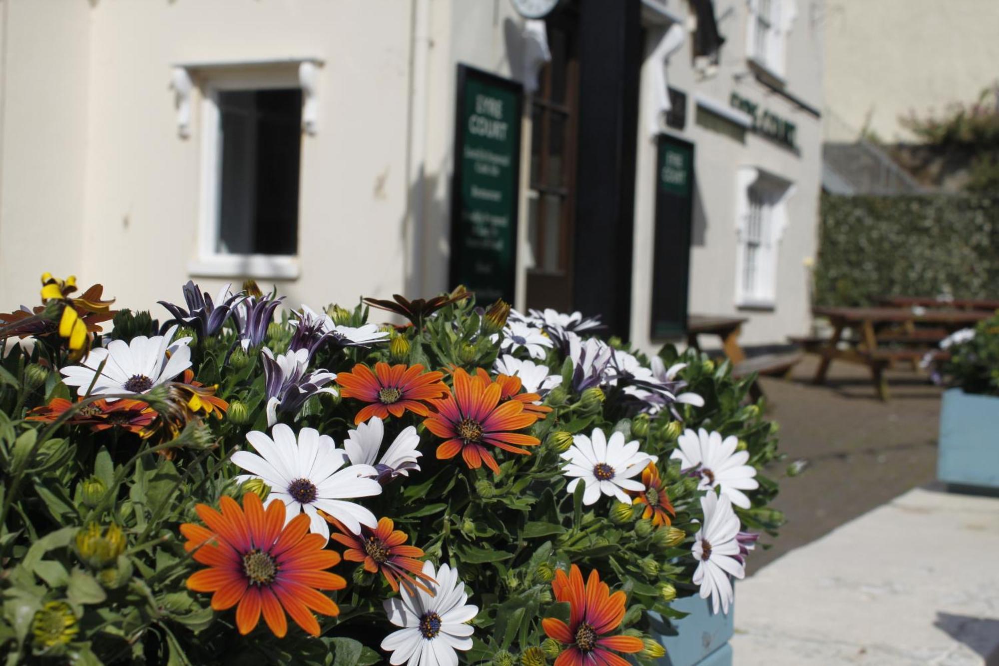 Bed and Breakfast The Eyre Court Seaton  Esterno foto